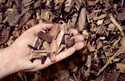 Erste Informationen zur Förderung von Wärme- oder Stromerzeugung mittels Holz oder sonstiger Biomasse