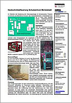 Download "Broschüre Holzhackschnitzelfeuerungsanlage Michelstadt"